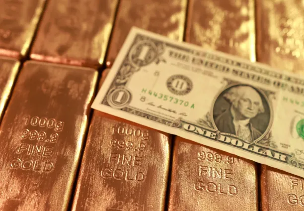 الذهب أم الدولار: أيهما يسيطر على الأسواق؟، 20 فبراير 2026.