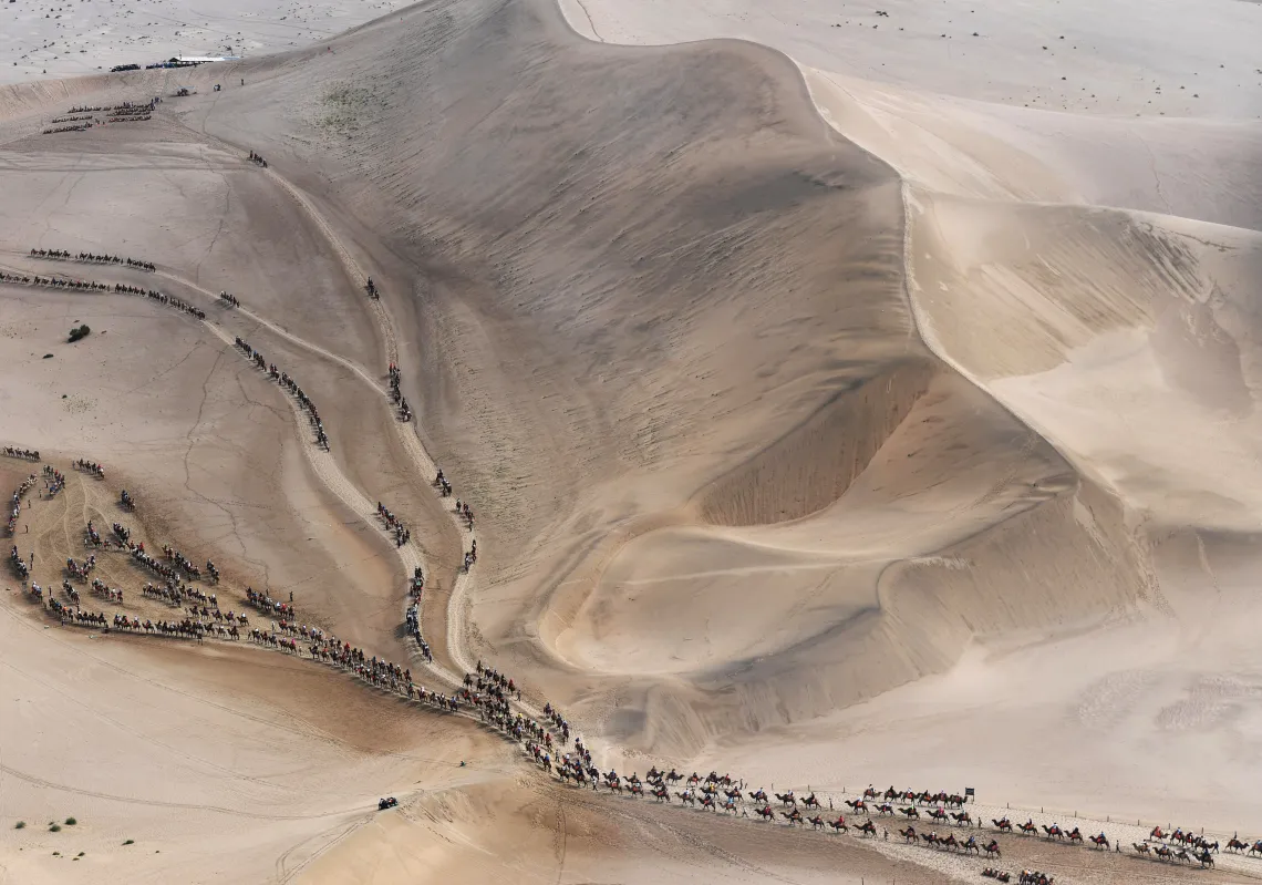 Tourists ride camels at Mingsha Mountain and Crescent Lake scenic area August 20, 2019 in Dunhuang, Gansu Province of China. (Getty)