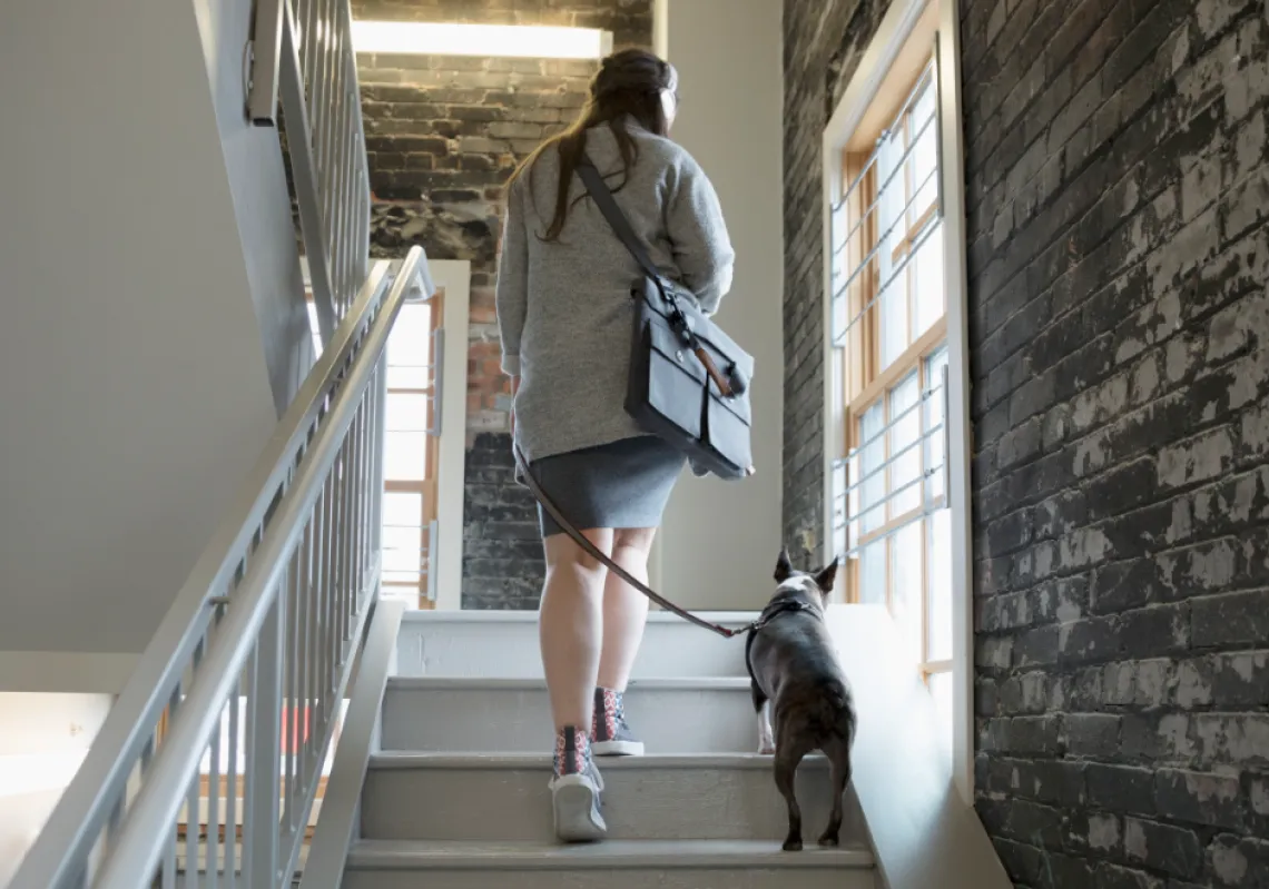 Boost Your Activity Level in Small Bites