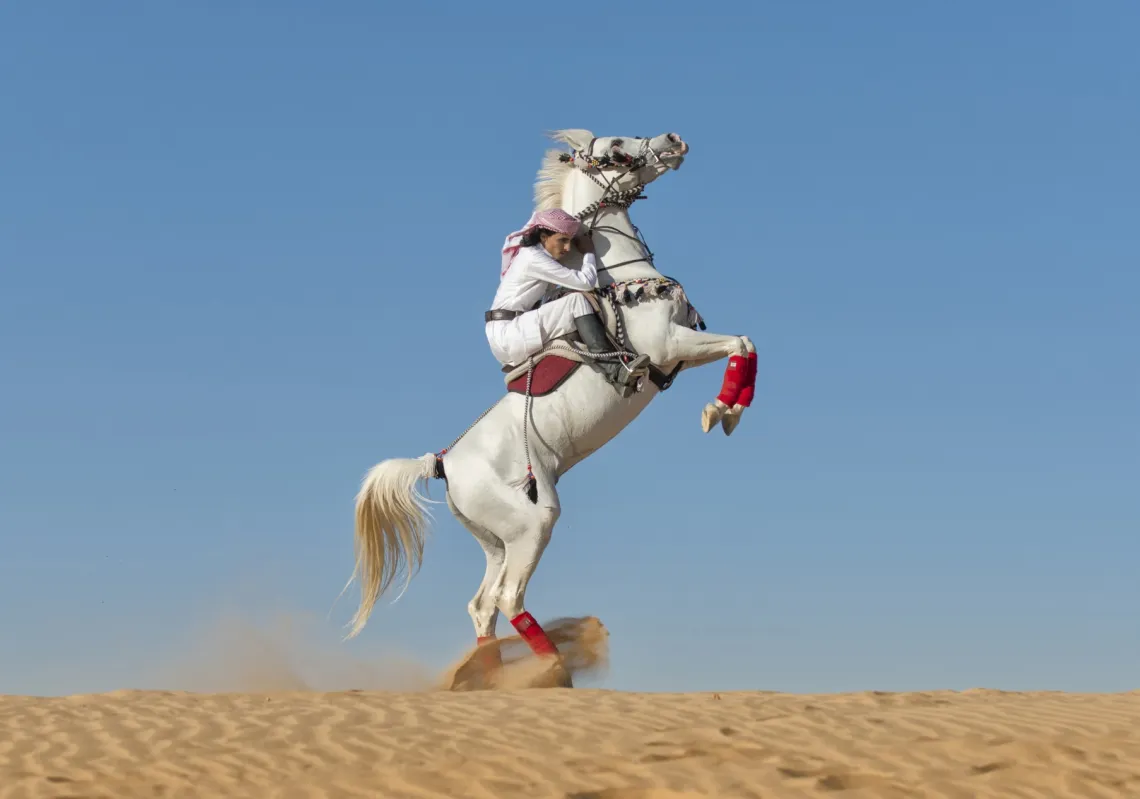 نجران