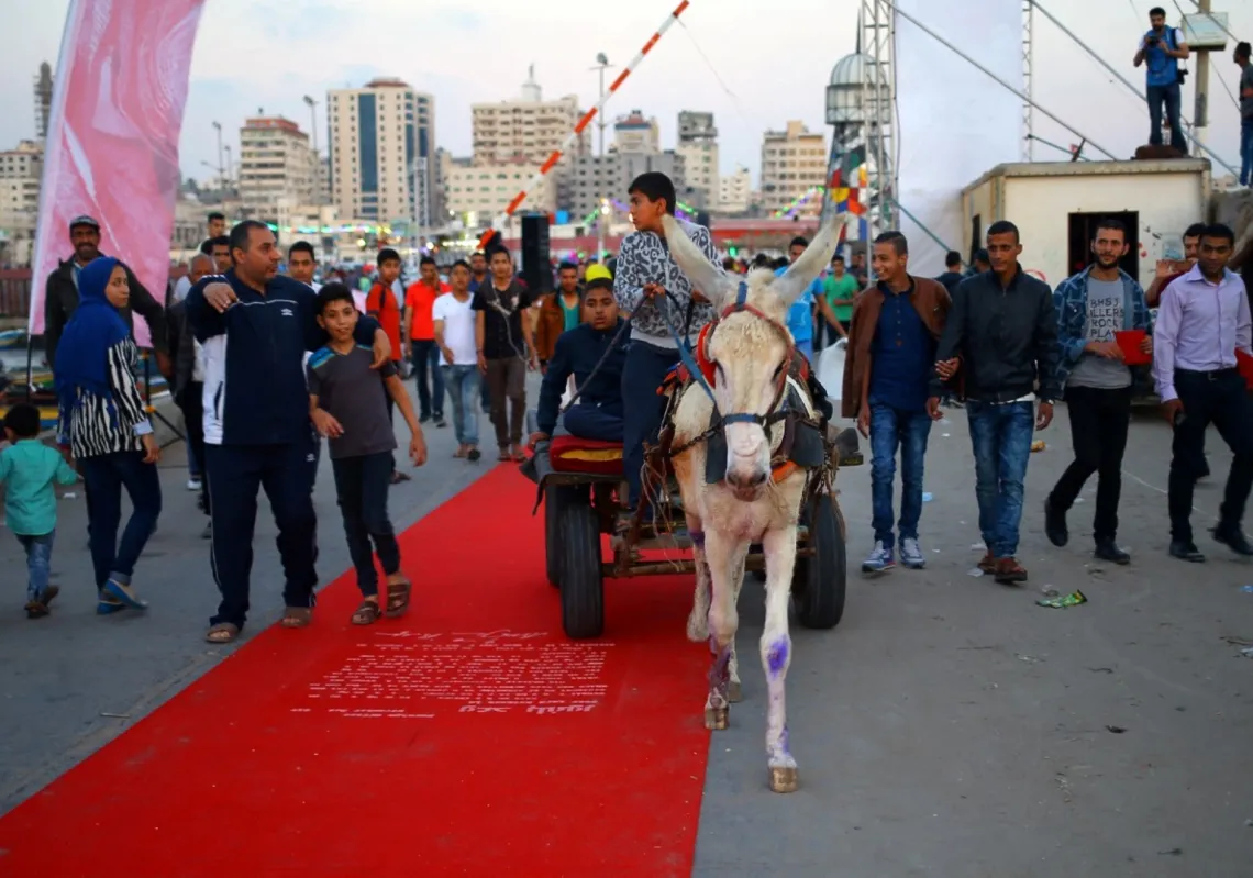 فلسطيني يقود عربة يجرها حمار على السجادة الحمراء خلال مهرجان سينمائي يُعنى بحقوق الإنسان في مدينة غزة، 12 مايو 2017. 