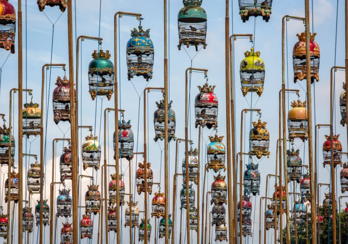 Cages with zebra doves are seen during the Piala Raja (King’s Cup), an annual bird song contest in Yogyakarta, Indonesia, on September 7, 2025.