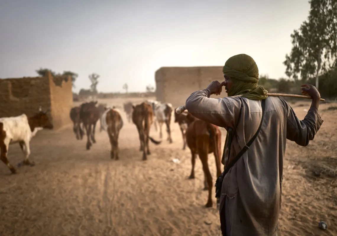 A Fulani herder leads his cattle to graze in the fields between Sevare and Mopti in central Mali on March 18, 2021. 