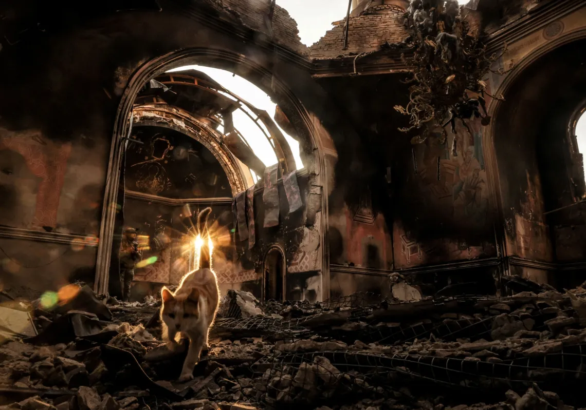 A cat walks in a church damaged by a Russian military strike, in the frontline town of Kostiantynivka in the Donetsk region, Ukraine, on October 13, 2025. 