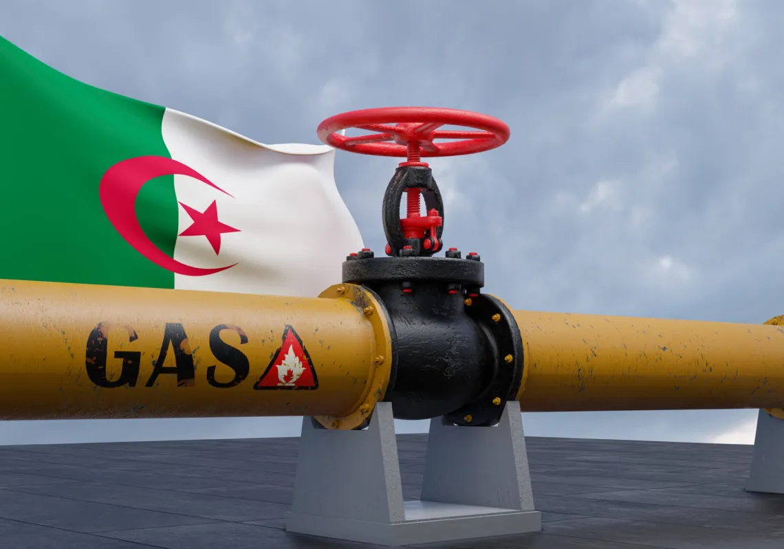 الغاز الجزائري محور الشراكة مع دول القارة الأفريقية