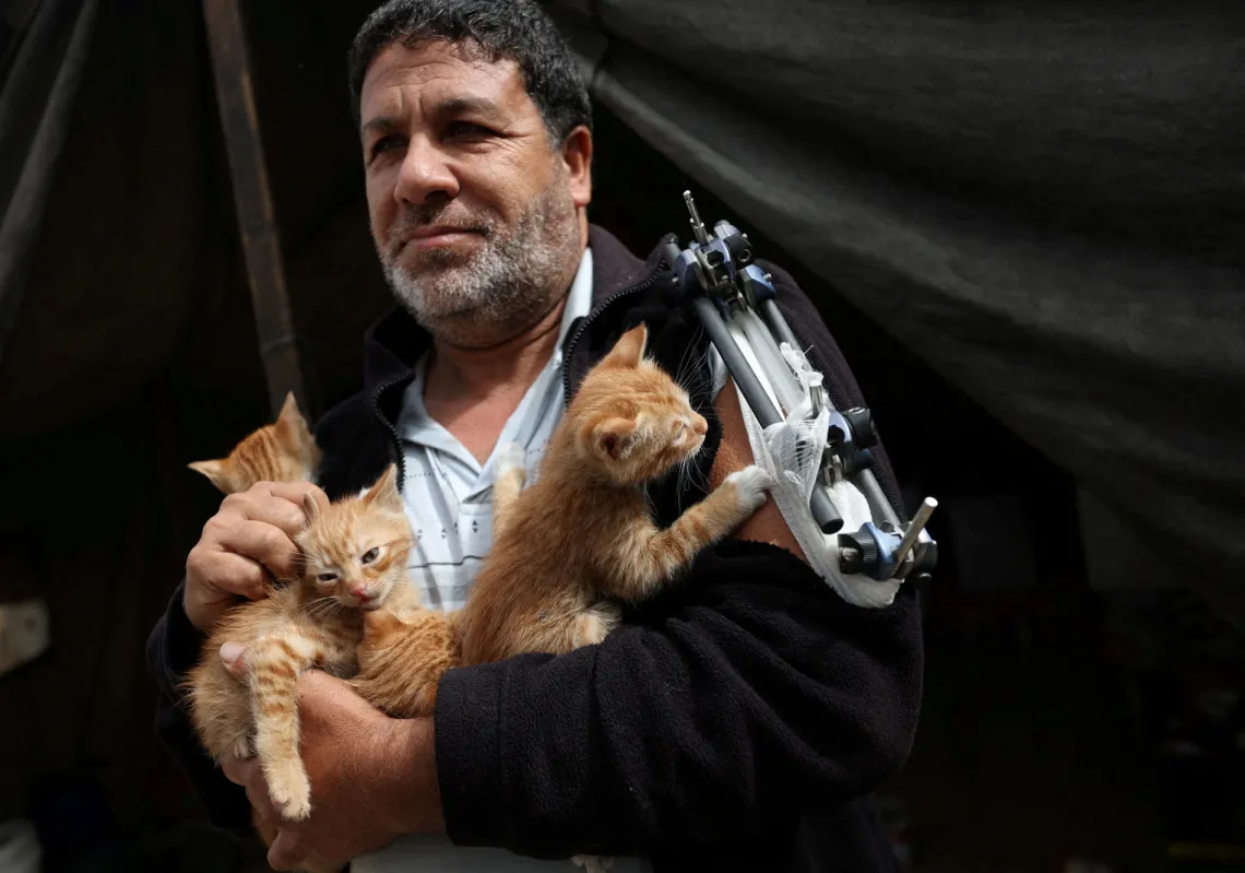 نازح فلسطيني مصاب في ذراعه يحمل قططا صغيرة أثناء لجوئه إلى مخيم في مدينة غزة، 26 مارس