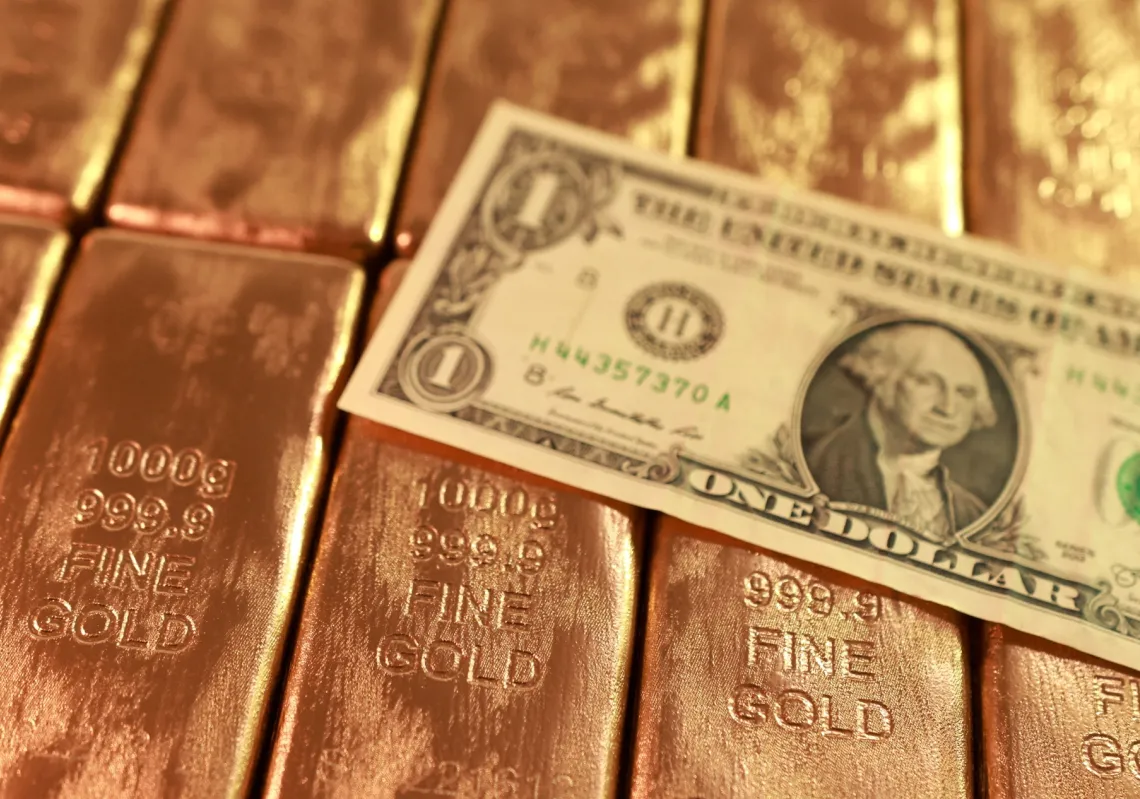 الذهب أم الدولار: أيهما يسيطر على الأسواق؟، 20 فبراير 2026.