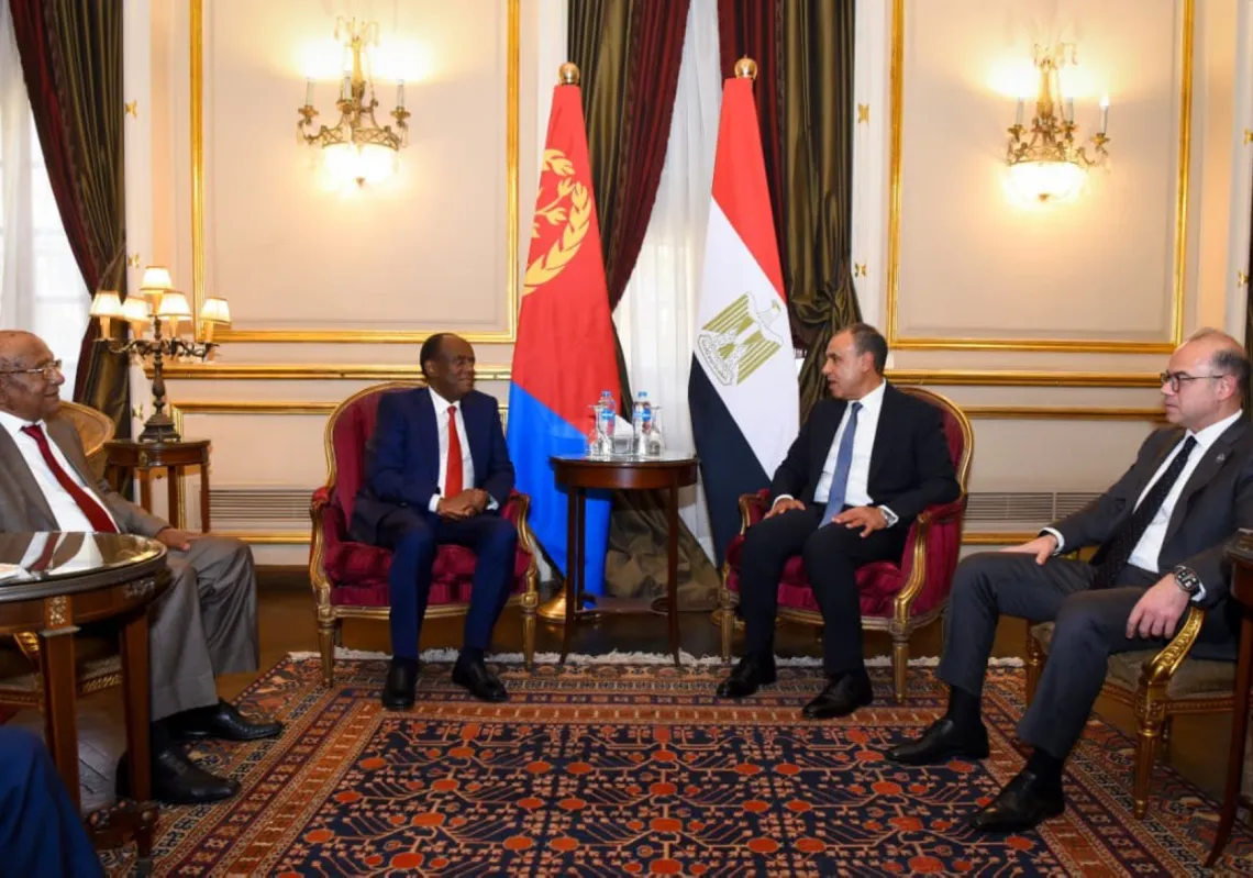 Egypt's Minister of Foreign Affairs, Dr. Badr Abdelatty, receives Economic Advisor to the Eritrean President   Hagos Ghebrehiwet