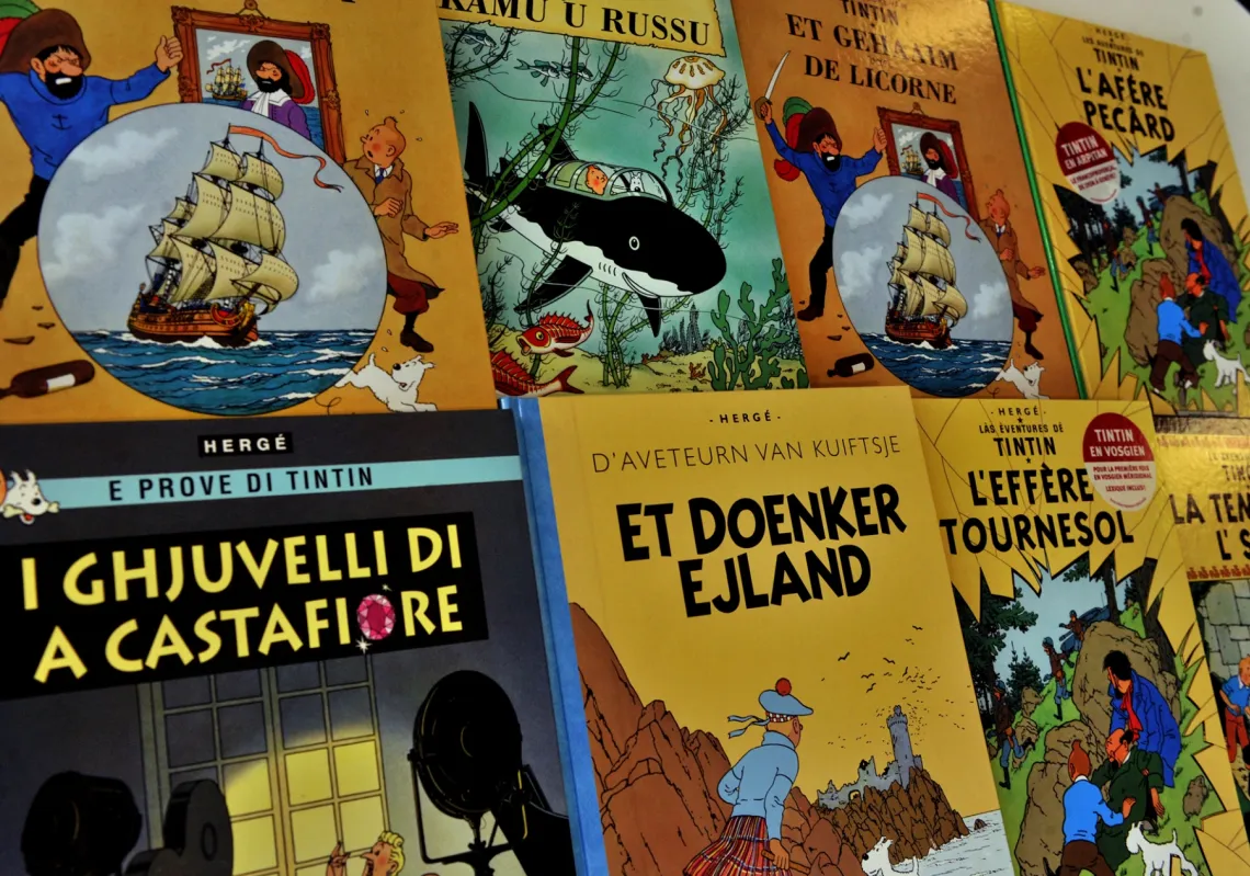 A picture taken on 24 January 2014 shows covers of the comic series Tintin translated into several languages at the Casterman publisher headquarters in Brussels.  