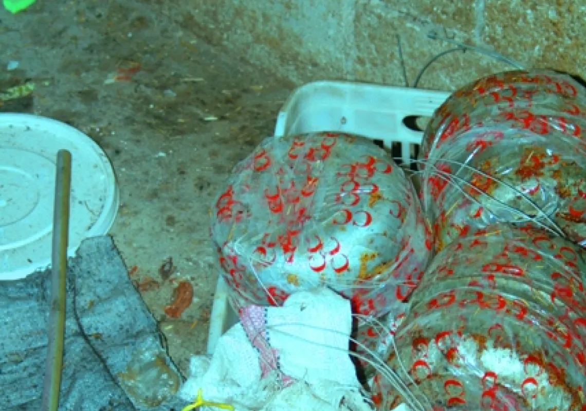 Homemade in Lattakia