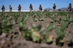 Daniel Cole/REUTERS 