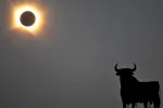 ANDER GILLENEA / AFP