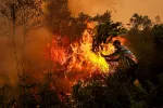 REINA / AFP